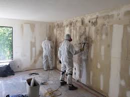 Best Black Mold Removal in Myersville, MD